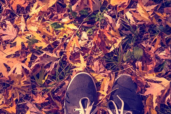 Abstraktní Obraz Nohy Botách Podzimní Listí Příchod Podzimu Koncepce — Stock fotografie