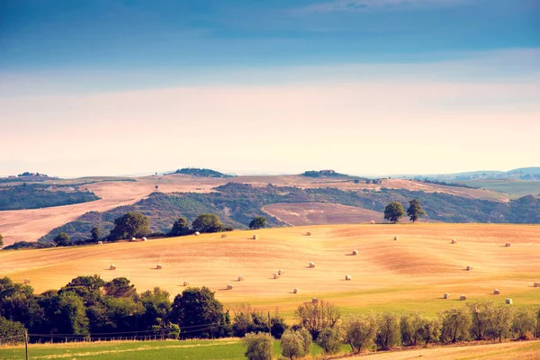 Beautiful Harmonious Landscape Twisted Haystacks Field Tuscany Italy Sunlight Crop — Stock Photo, Image