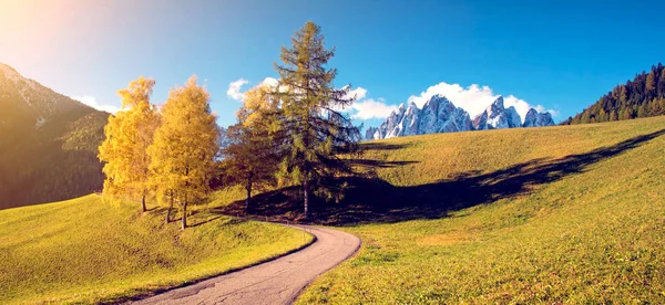 ドロミテの山々 の背景に曲がりくねった道路と黄色のカラマツの美しい秋の風景を魅力的な魔法 イタリア アルプス 抗ストレス リラクゼーション コンセプト — ストック写真
