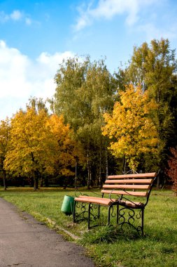 Güzel sonbahar yatay, parkın ortasında yalnız bir Bank