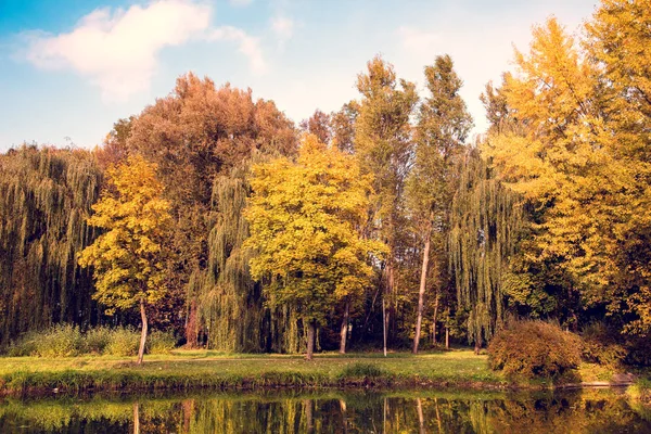 Göle yakın sarı ağaçlarıyla güzel sonbahar manzara