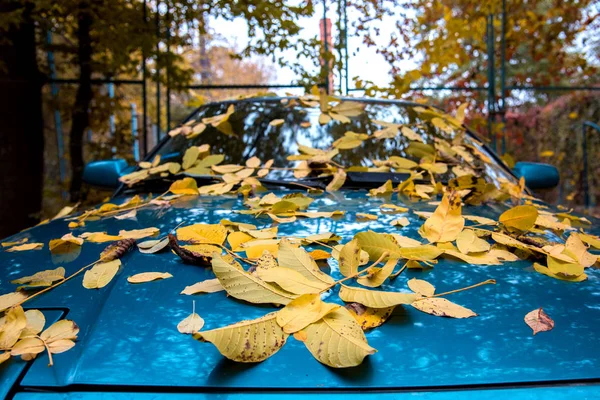Абстрактне Містичне Зображення Смарагдового Автомобіля Жовтим Осіннім Листям Листя Склі — стокове фото
