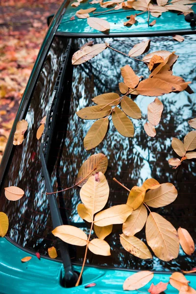 Abstraktes Bild Mit Einem Auto Herbstblatt Auf Der Rückscheibe — Stockfoto