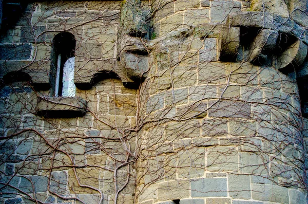 Mystisch Abstraktes Bild Mit Fenster Einer Alten Burg Mit Zweigen — Stockfoto