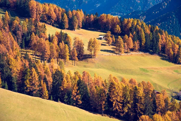 晴れた日に黄色のカラマツと幻想的な秋の風景 南チロル ドロミテ アルプス イタリア 穏やかな 抗ストレス リラクゼーション コンセプト — ストック写真