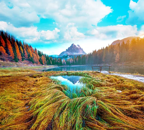 magic autumn landscape with colored grass and wooden bridge at sunset on a background of Monte Piano and Tre Cime de Lavaredo on the Antorno Lake, Dolomites, Italy. (Meditation, mental vacation, hike, relaxation - concept)