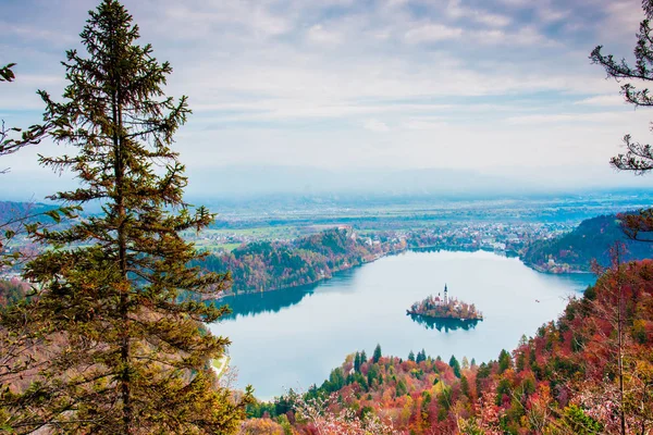 Hihetetlenül Szép Táj Templom Sziget Közepén Őszi Erdő Bled Szlovénia — Stock Fotó