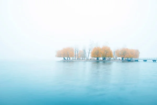 在一个雾蒙蒙的早晨 迷人迷人的秋天简约的风景 湖心带着一座座黄树 — 图库照片