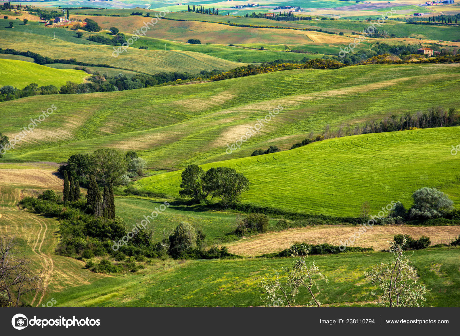 Magical Beautiful Landscape Hills Tuscany Italy Sunrise Wonderful Places Stock Editorial Photo C Andrij Ter Magical Beautiful Landscape Hills Tuscany Italy Sunrise Wonderful Places Stock Editorial Photo C Andrij Ter