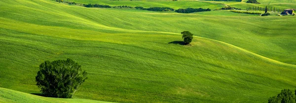 Hermoso Paisaje Mágico Con Árbol Solitario Medio Las Colinas Sobre —  Fotos de Stock