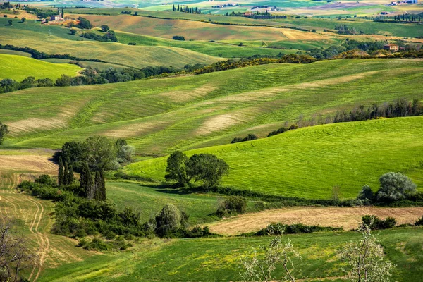 Magisch Mooi Landschap Met Heuvels Toscane Italië Bij Zonsopgang Prachtige — Stockfoto