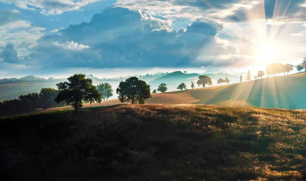Magisch Mooi Landschap Met Bomen Een Dikke Mist Heuvels Tegen — Stockfoto