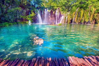 Büyülü güzel, nefes kesici doğal sahne Plitvice, Hırvatistan milli yedekte şelaleler ile. Büyüleyici yerleri.