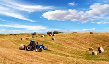Traktör tarlada hasat ediyor. Toskana, İtalya (mahsul, refah