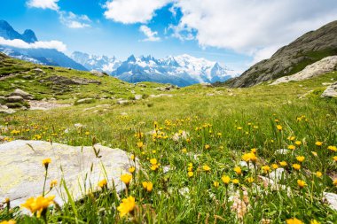Taş ve sarı ile büyüleyici ilkbahar-yaz dağ manzara