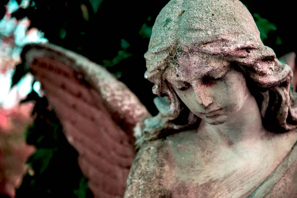 Een fragment van oude sculptuur engel in een gouden gloed in de OL — Stockfoto