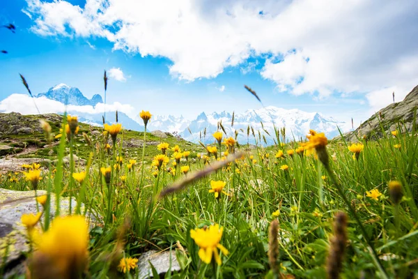 Encantador paisaje de montaña primavera-verano con piedras y amarillo —  Fotos de Stock