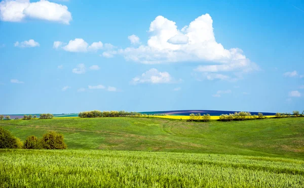 Ortasında sarı tecavüz bir şerit ile Büyüleyici manzara 