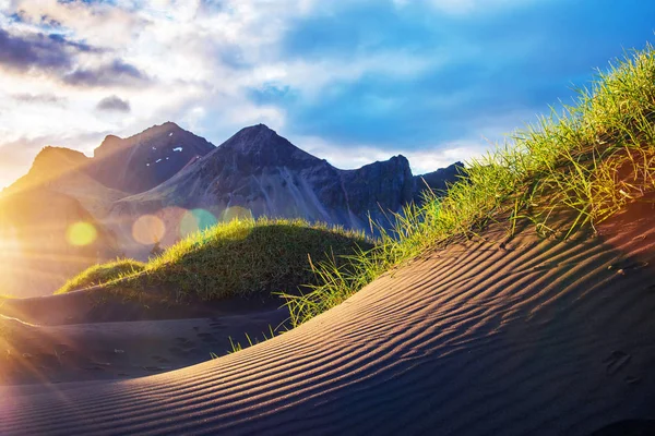 Фрагмент песчаной дюны со свежей зеленой травой на закате рядом — стоковое фото