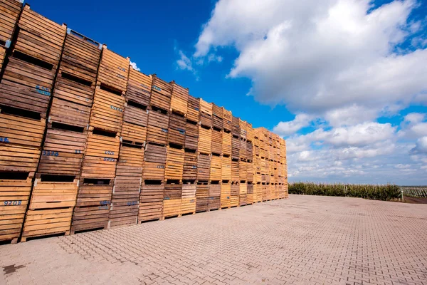 Bir c arka plan üzerinde ahşap palet ler ve kutular Kompozisyon