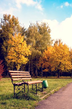 Ortasında yalnız bir bank ile güzel sonbahar manzara 