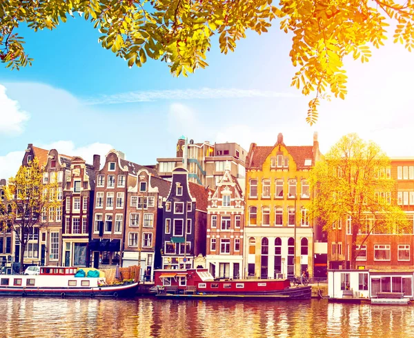 Amsterdam, Hollanda'da Güzel Magic Sonbahar Manzara. Şaşırtıcı 