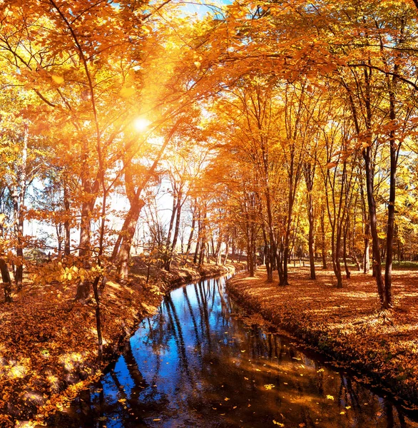 Encantadora paisagem cativante mágica com um rio entre dourado — Fotografia de Stock
