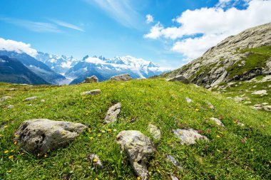 Taş ve sarı ile büyüleyici ilkbahar-yaz dağ manzara