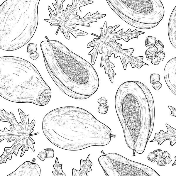 Papaya. Fruta tropical, hoja. Monocromo. Boceto. Fondo, papel pintado. textura, sin costuras . — Vector de stock