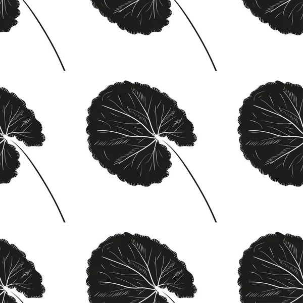 Gotu Kola. Una planta, hojas. Fondo, papel pintado, sin costuras. Monocromo. Silueta negra sobre fondo blanco . — Vector de stock