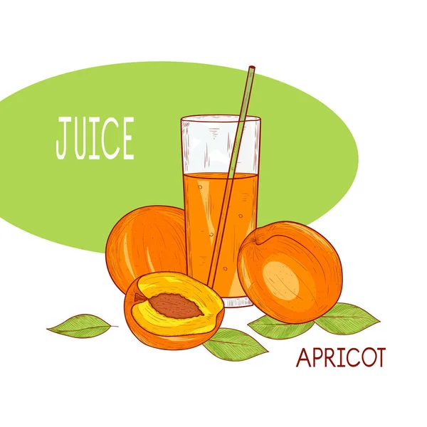 Aprikosensaft. eine Frucht und ein Glas mit Strohhalm. Skizze. — Stockvektor