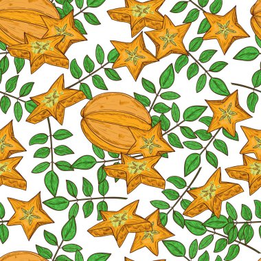 Carambola. Yaprak, meyve. Arka plan, duvar kağıdı, sorunsuz. Renk desen. Beyaz arka plan. Kroki.