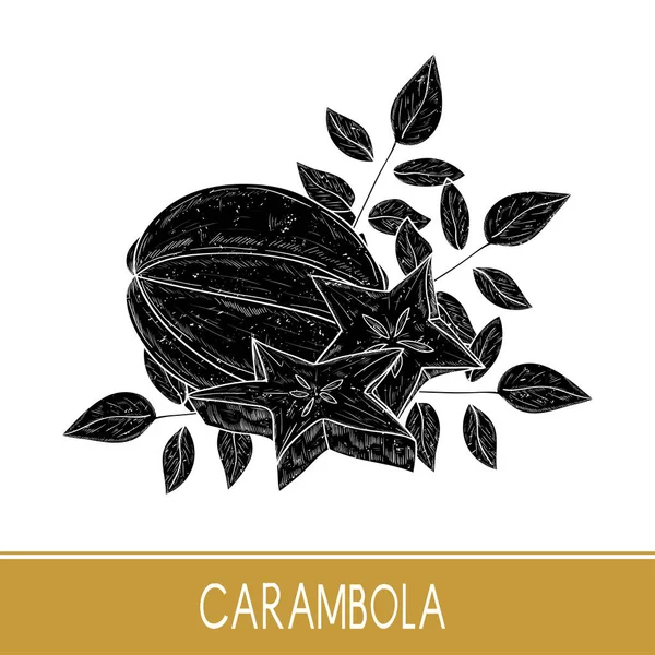 Carambola's. Fruit, bladeren. Zwarte silhouet op witte achtergrond. — Stockvector