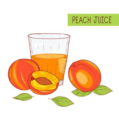 Şeftali suyu. Meyve ve bir bardak meyve suyu, yaprakları. Kroki. Beyaz bir arka plan üzerinde.