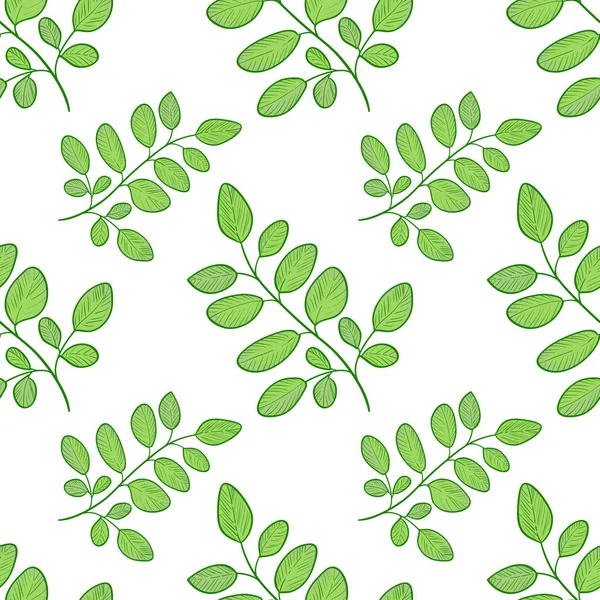 Moringa. Fundo, papel de parede, sem costura. Esboço . — Vetor de Stock