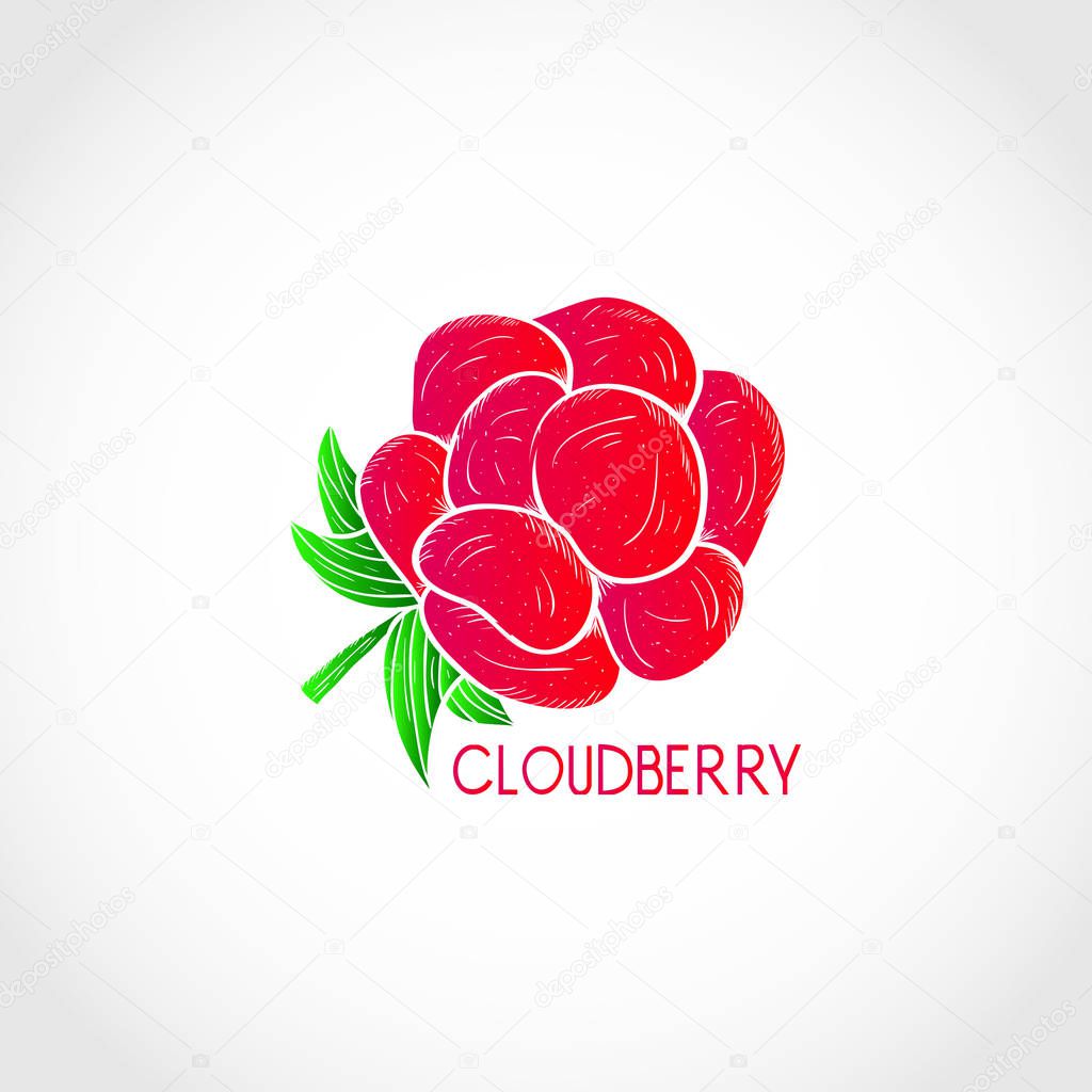 Raspberries. Berry. Logo, emblem, symbol.