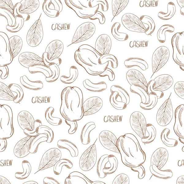 Cashew. Sketch. Background, wallpaper, seamless. Can be used on