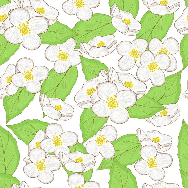 Jasmijn. Bloemen. Achtergrond, wallpaper, naadloze. Schets. — Stockvector