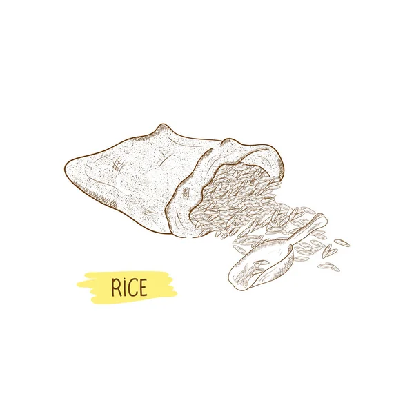 Rijst. Tas, pollepel, graan. Schets. — Stockvector