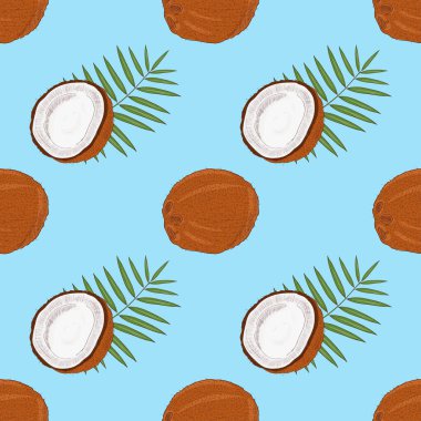 Hindistan cevizi. Arka plan, duvar kağıdı, sorunsuz. Kroki. Tropikal meyve.