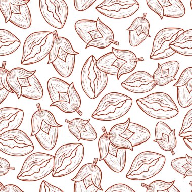 Jojoba. Meyve. Arka plan, duvar kağıdı, sorunsuz. Kroki. Doodle. Tek renkli