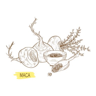 Maca. Yumru. Toz. Kroki. Tek renkli