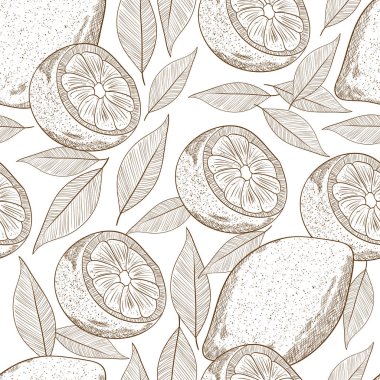 Limon. Meyve. Kroki. Duvar kağıtları, sorunsuz. Tek renkli. Beyaz bir arka plan üzerinde.