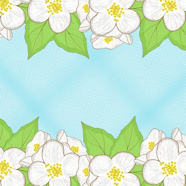 Jasmine, flower. Sketch. Beautiful blue background with flowers. Postcard, invitation. — Stock Vector