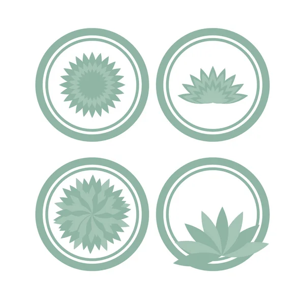 Aloe, Agave. Le logo, l'icône, le logo. Ensemble — Image vectorielle