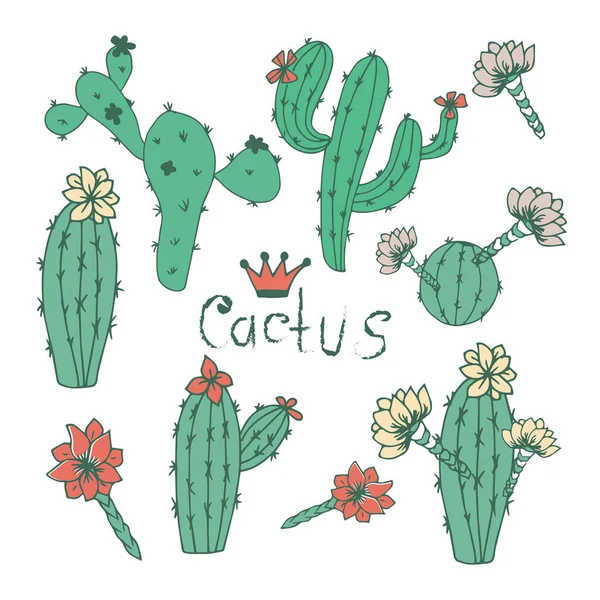 Cactus. Set. On a white background. Sketch doodle. — Stock Vector