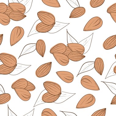 Badem. Somun. Arka plan, duvar kağıdı, doku. Sorunsuz. Kroki.