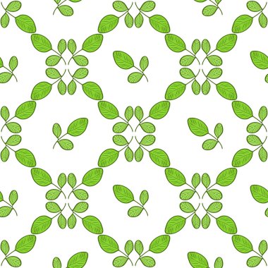 Moringa. Arka plan, duvar kağıdı, doku, sorunsuz. Kroki. Renk desen. Oyma