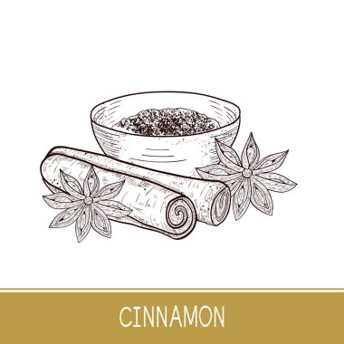 Tarçın, kase, Yıldız anason. Kroki. Tek sesli.