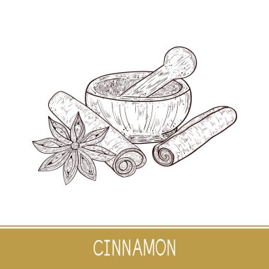 Tarçın sopa, harç, Yıldız anason. Kroki. Ayarlayın. Tek sesli.